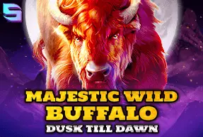 Majestic Wild Buffalo - Dusk Till Dawn
